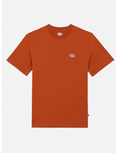 T-Shirt Uomo Dickies - Arancione