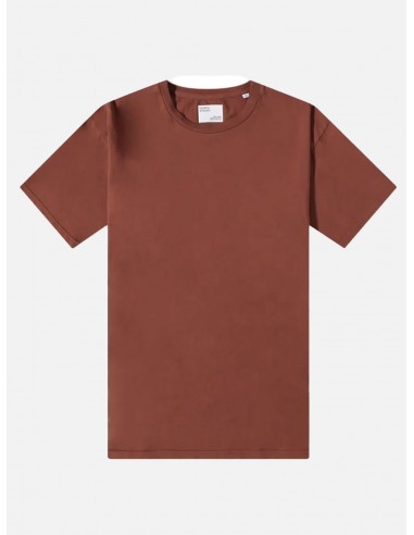 T-Shirt Uomo Colorful CS1001 - Colore Cinnamon